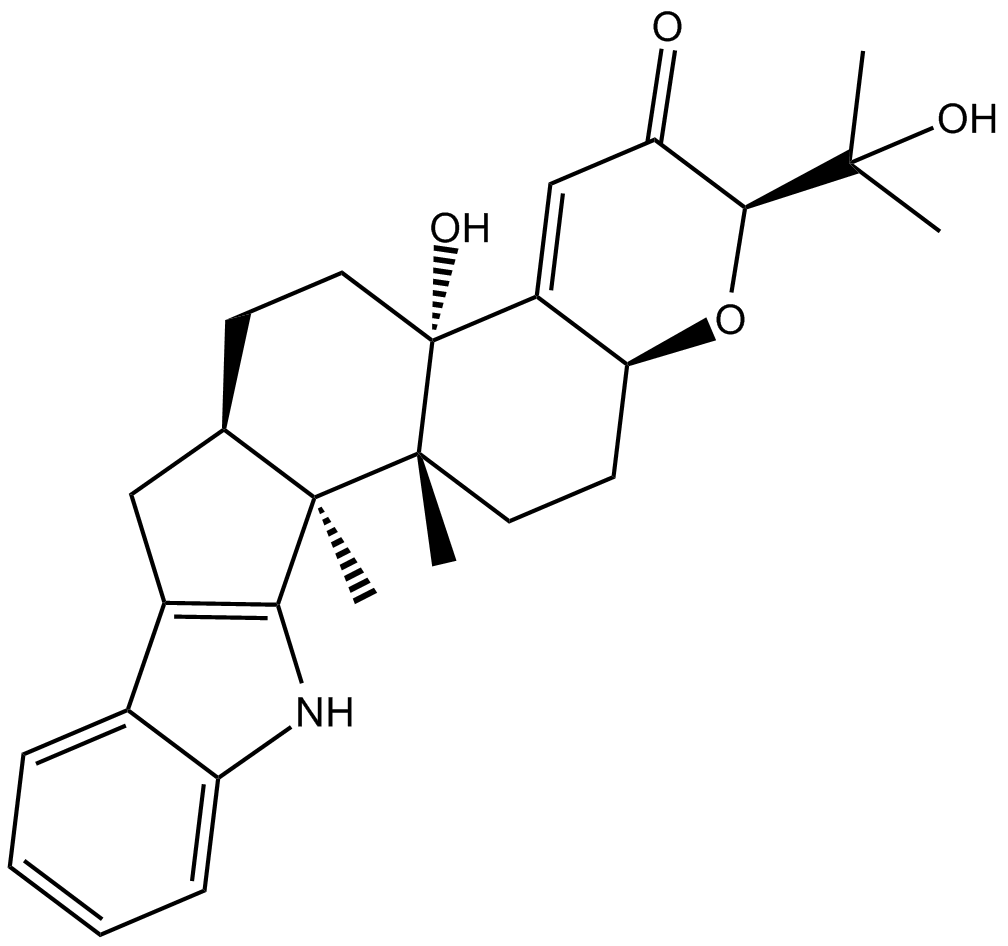 PaxillineͼƬ