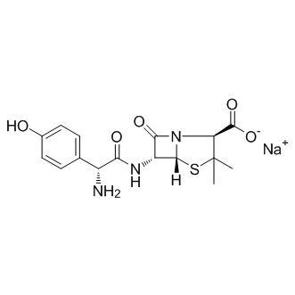 Amoxicillin SodiumͼƬ