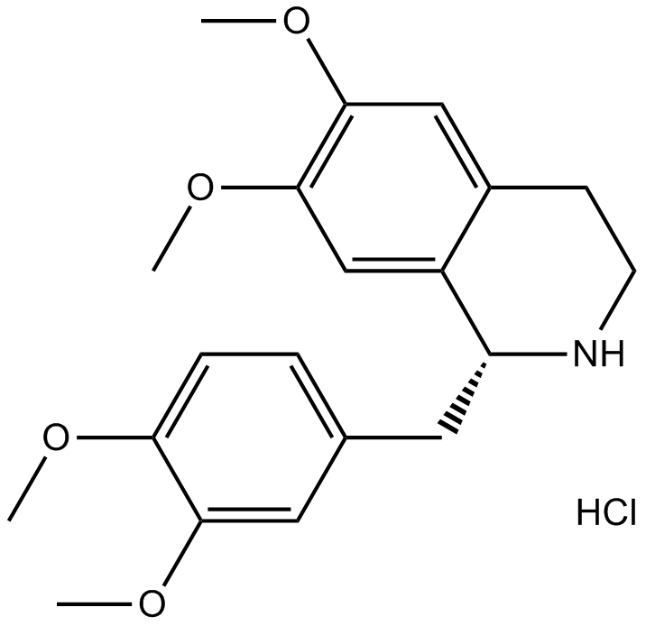 Tetrahydropapaverine HClͼƬ