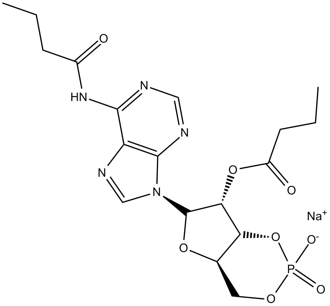 Dibutyryl-cAMP,sodium saltͼƬ