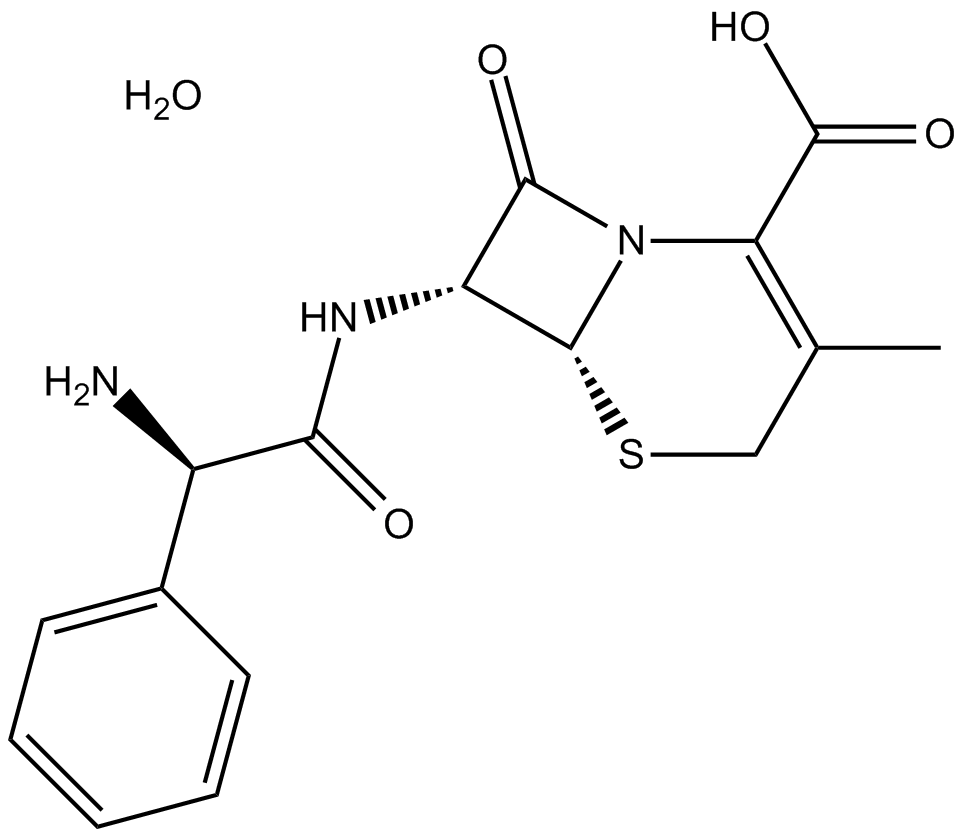 Cephalexin monohydrateͼƬ