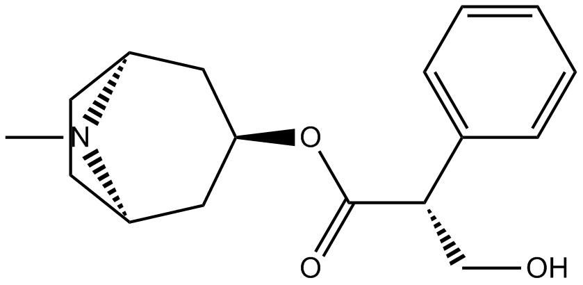 Hyoscyamine图片