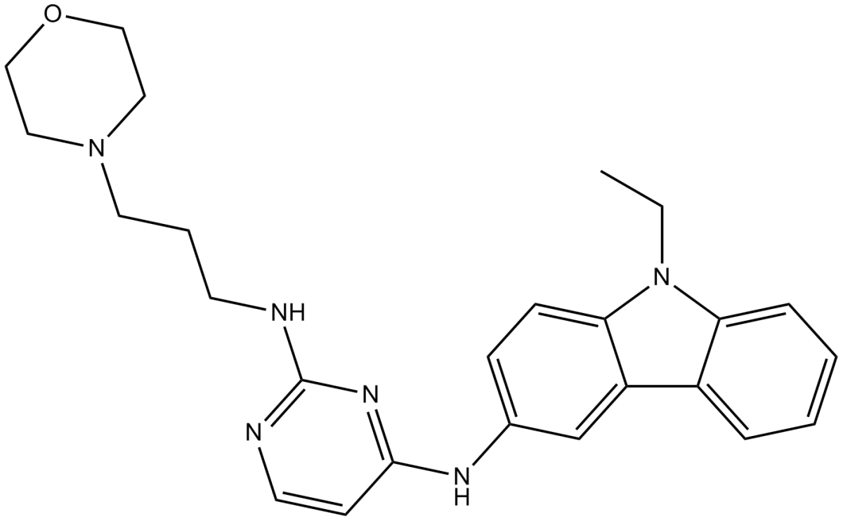 EHop-016图片