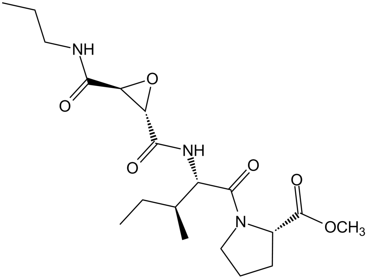 CA-074 MeͼƬ