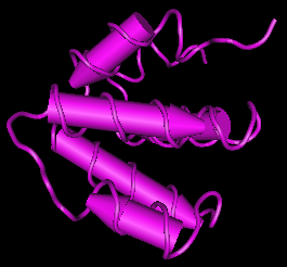 Caspase-4,human recombinant proteinͼƬ