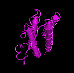 Leptin Receptor,human recombinant proteinͼƬ