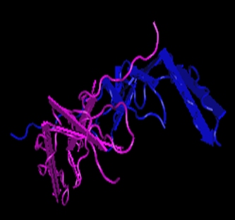 PDGF-BB,murine recombinant proteinͼƬ