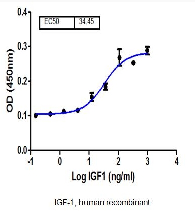 IGF-1,human recombinantͼƬ