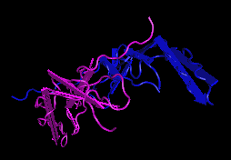 PDGF-AA,murine recombinant proteinͼƬ