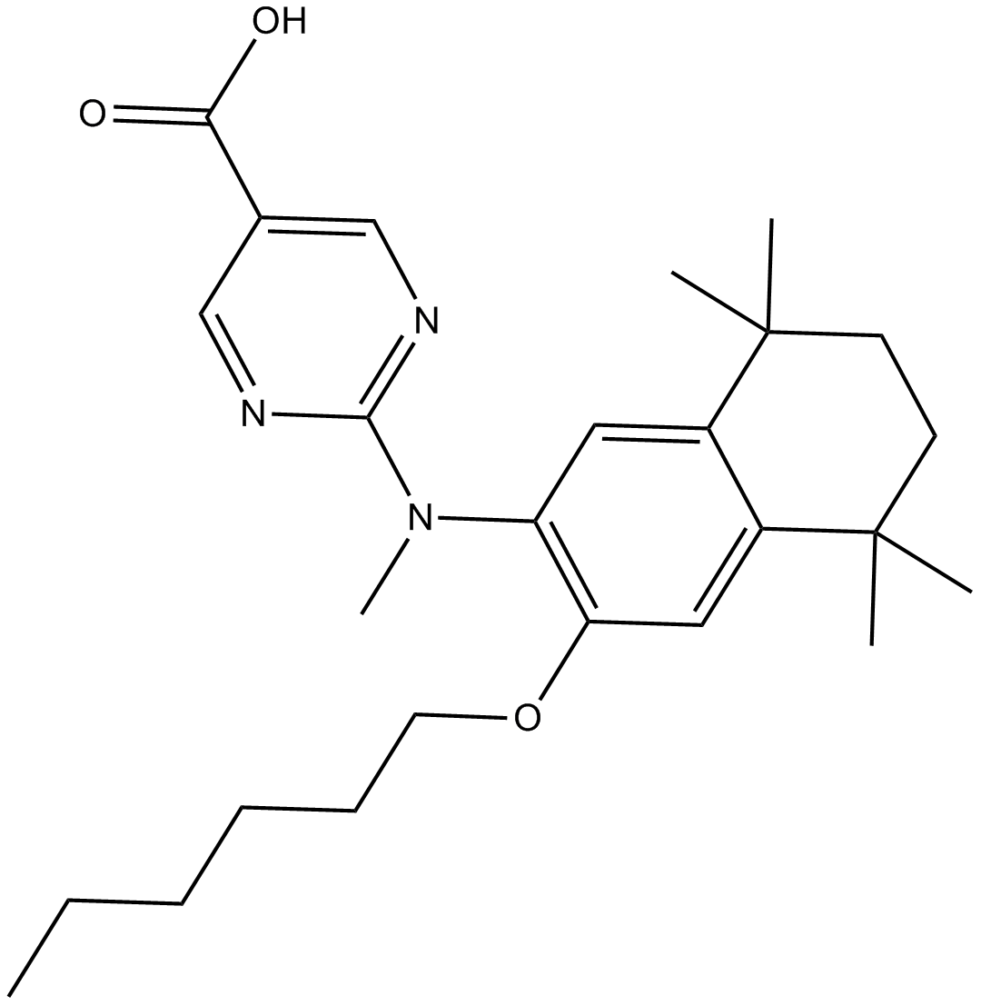 PA 452ͼƬ