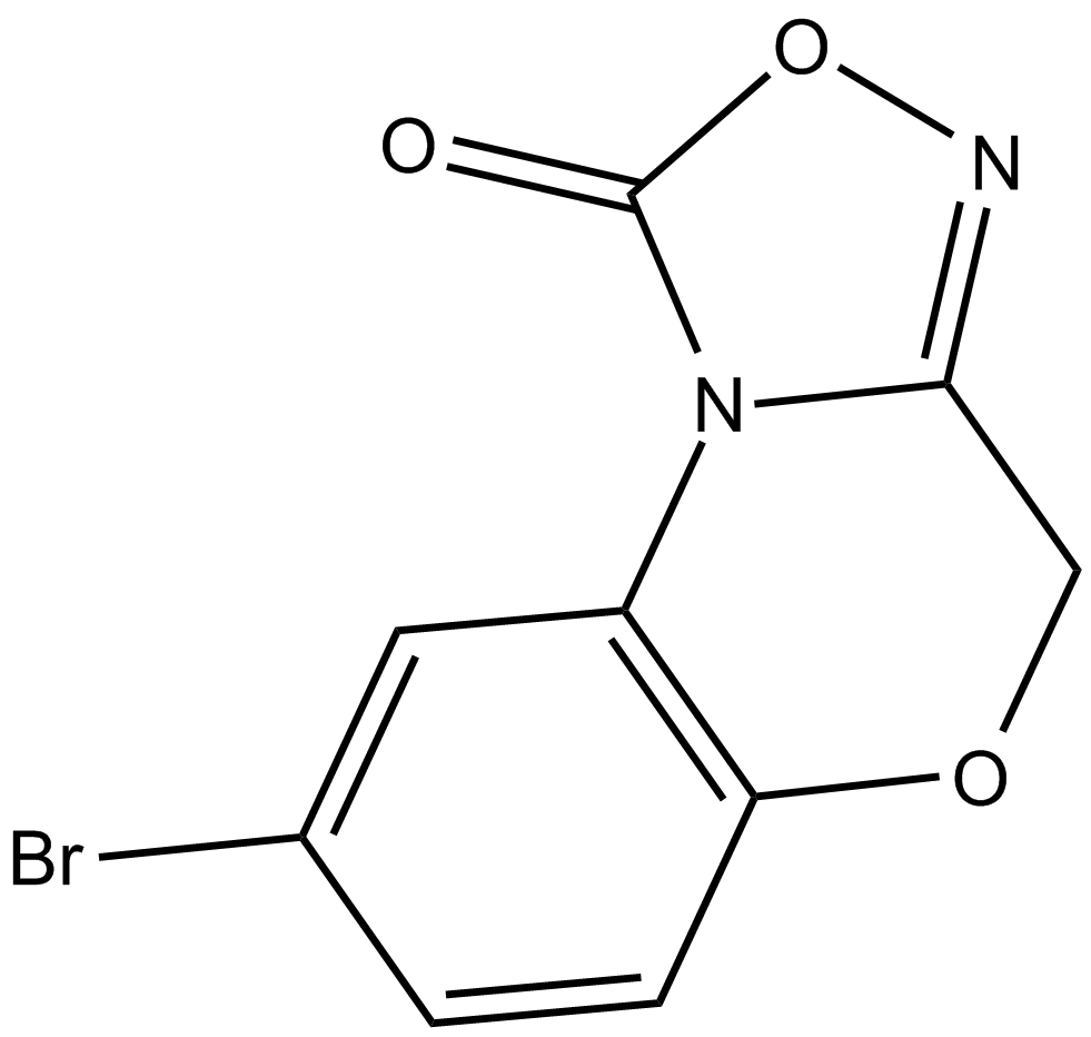 NS 2028ͼƬ