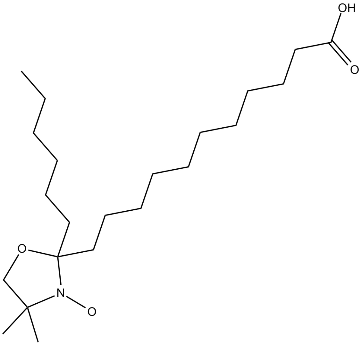 12-Doxylstearic AcidͼƬ