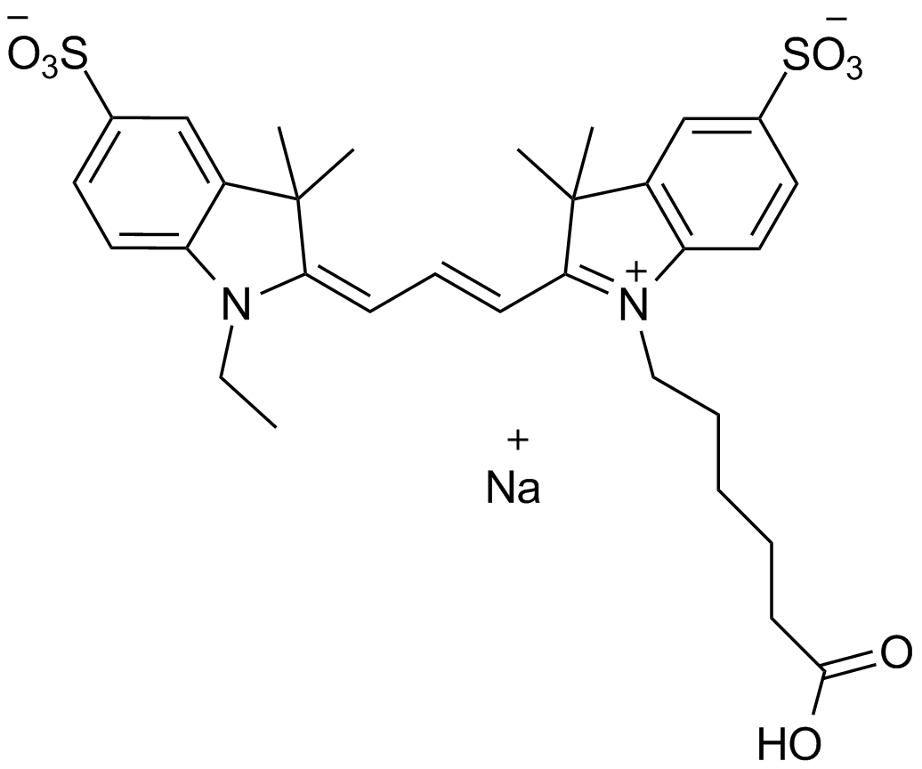 Cy3 carboxylic acid(Et)ͼƬ