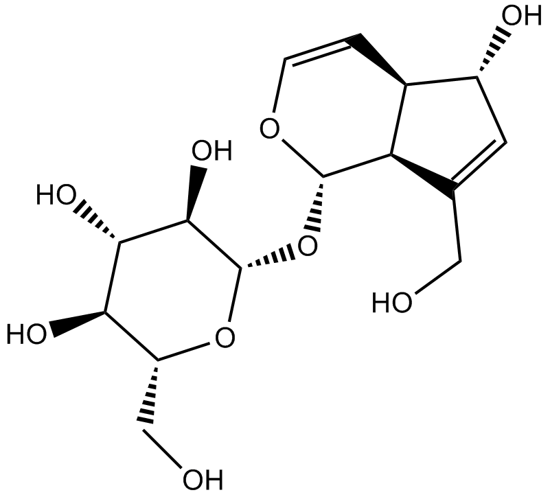 Aucubin图片