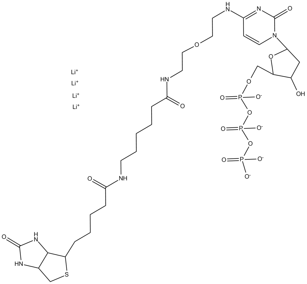 N4-Biotin-OBEA-dCTPͼƬ