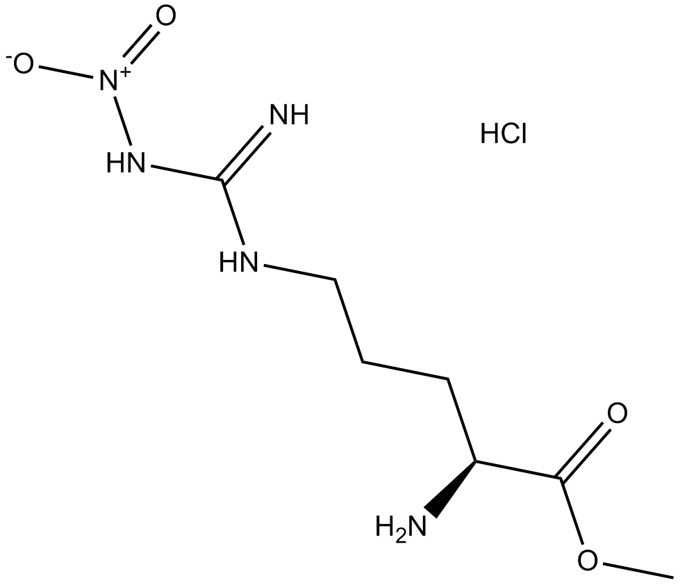 L-NAME hydrochlorideͼƬ