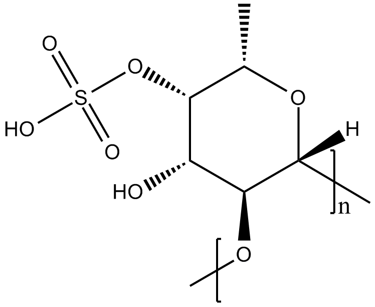 FucoidanͼƬ