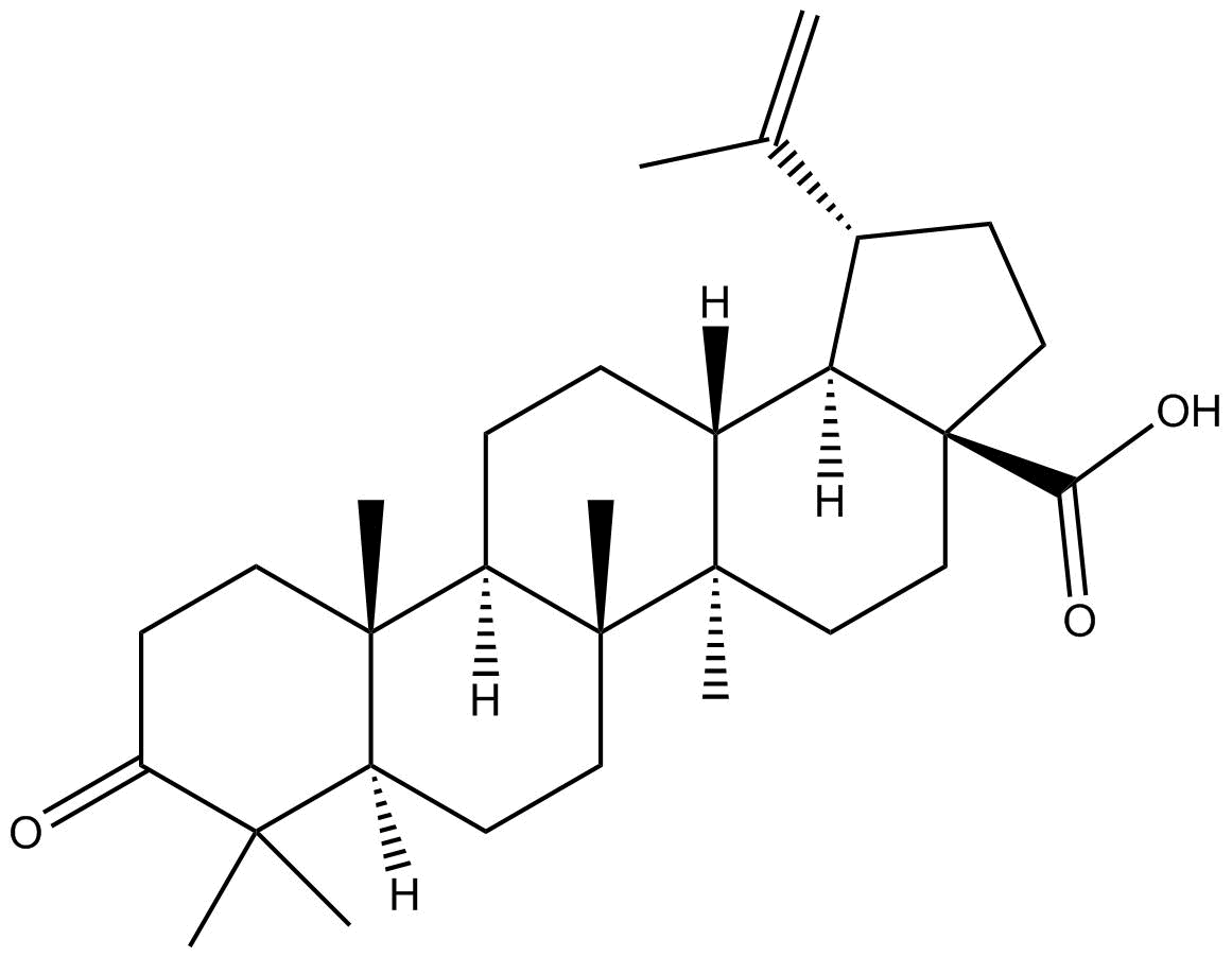 Liquidambaric acidͼƬ