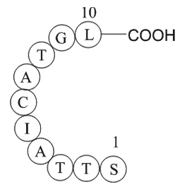 ubiquitin specific protease 3 fragmentͼƬ