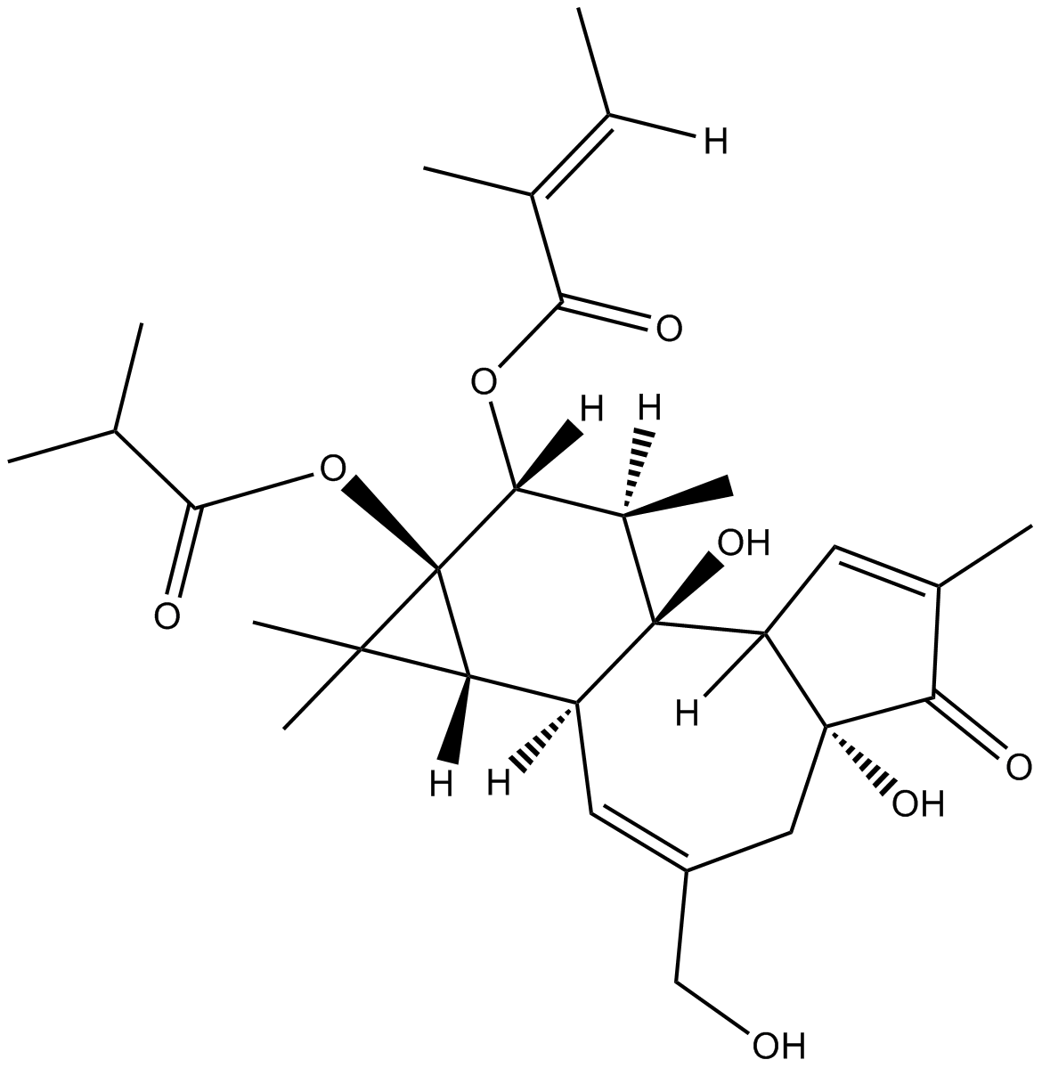 12-O-Tiglylphorbol-13CisobutyrateͼƬ