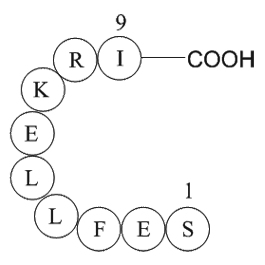 Large T antigen-rhesus polyomavirus 560-568ͼƬ