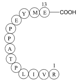 matrix protein(3-15)[Zaire ebolavirus]ͼƬ