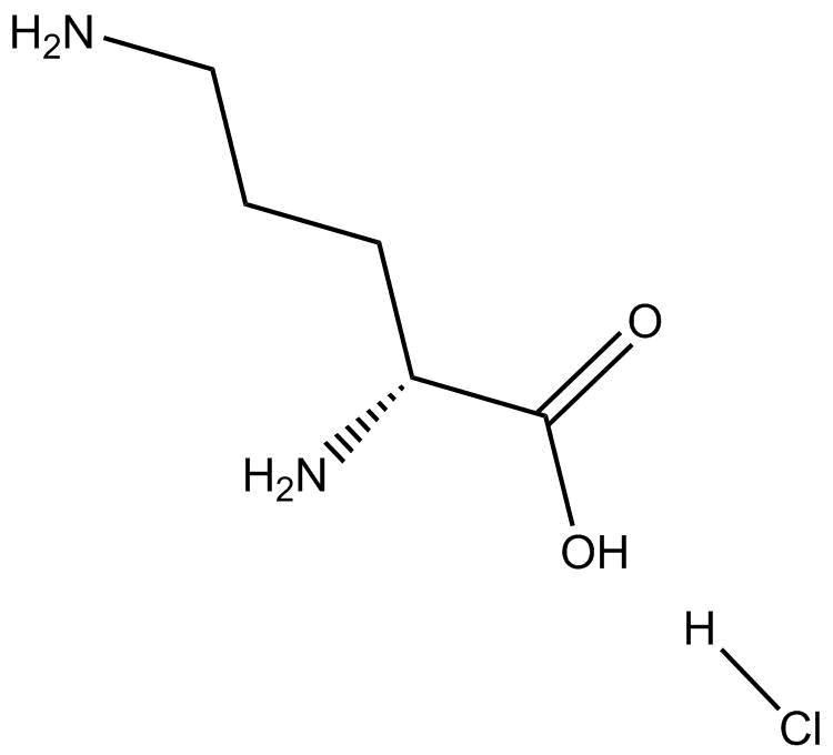 (R)-Ornithine hydrochlorideͼƬ