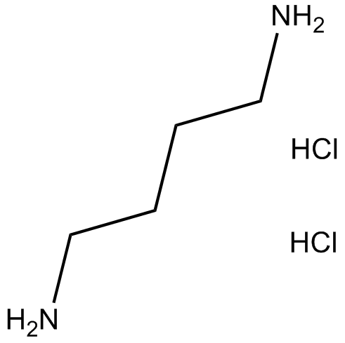 1,4-Diaminobutane dihydrochlorideͼƬ