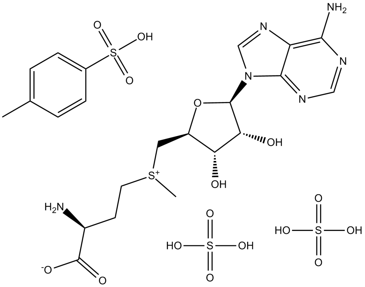 Ademetionine disulfate tosylateͼƬ