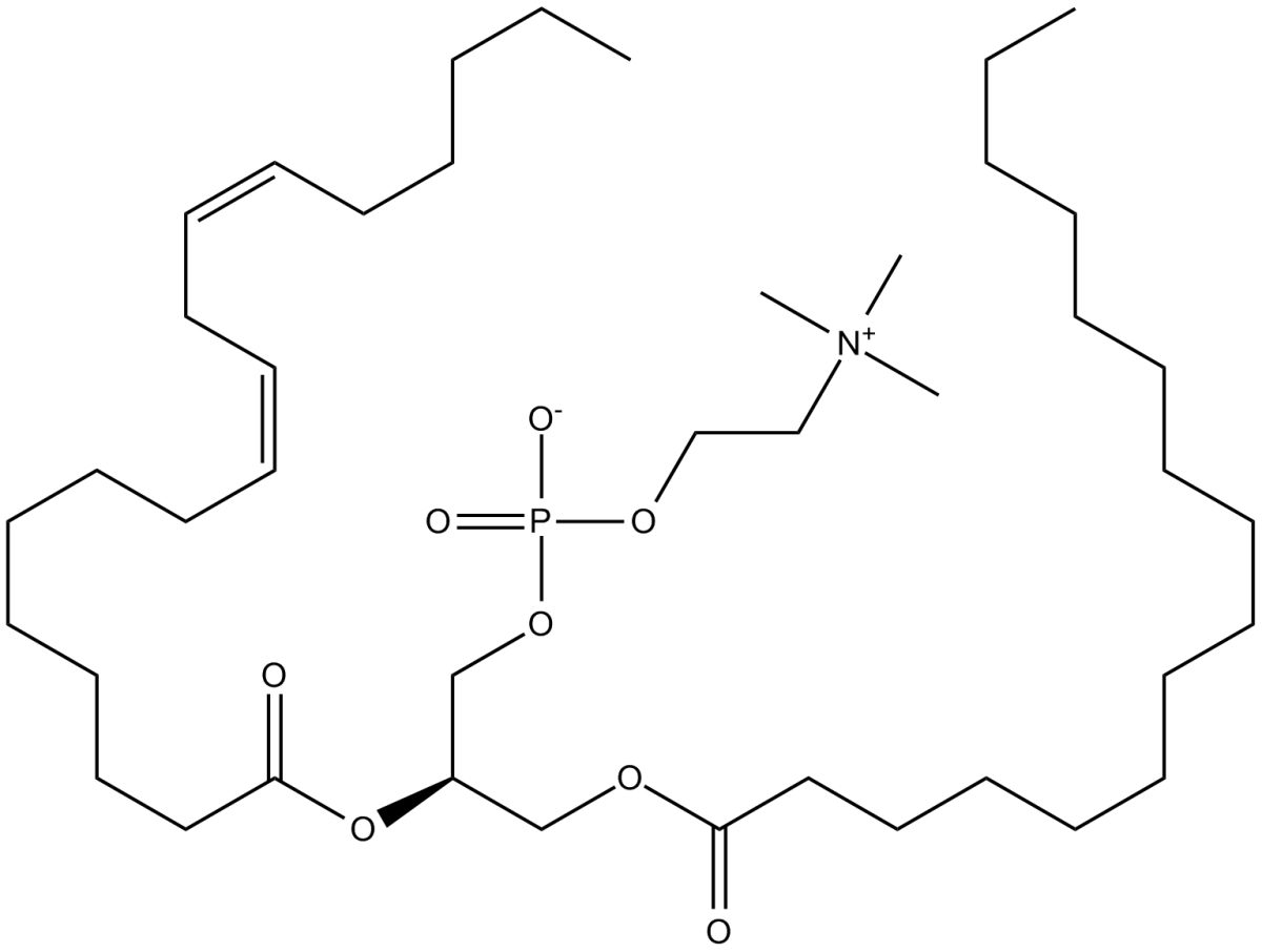 L--PhosphatidylcholineͼƬ