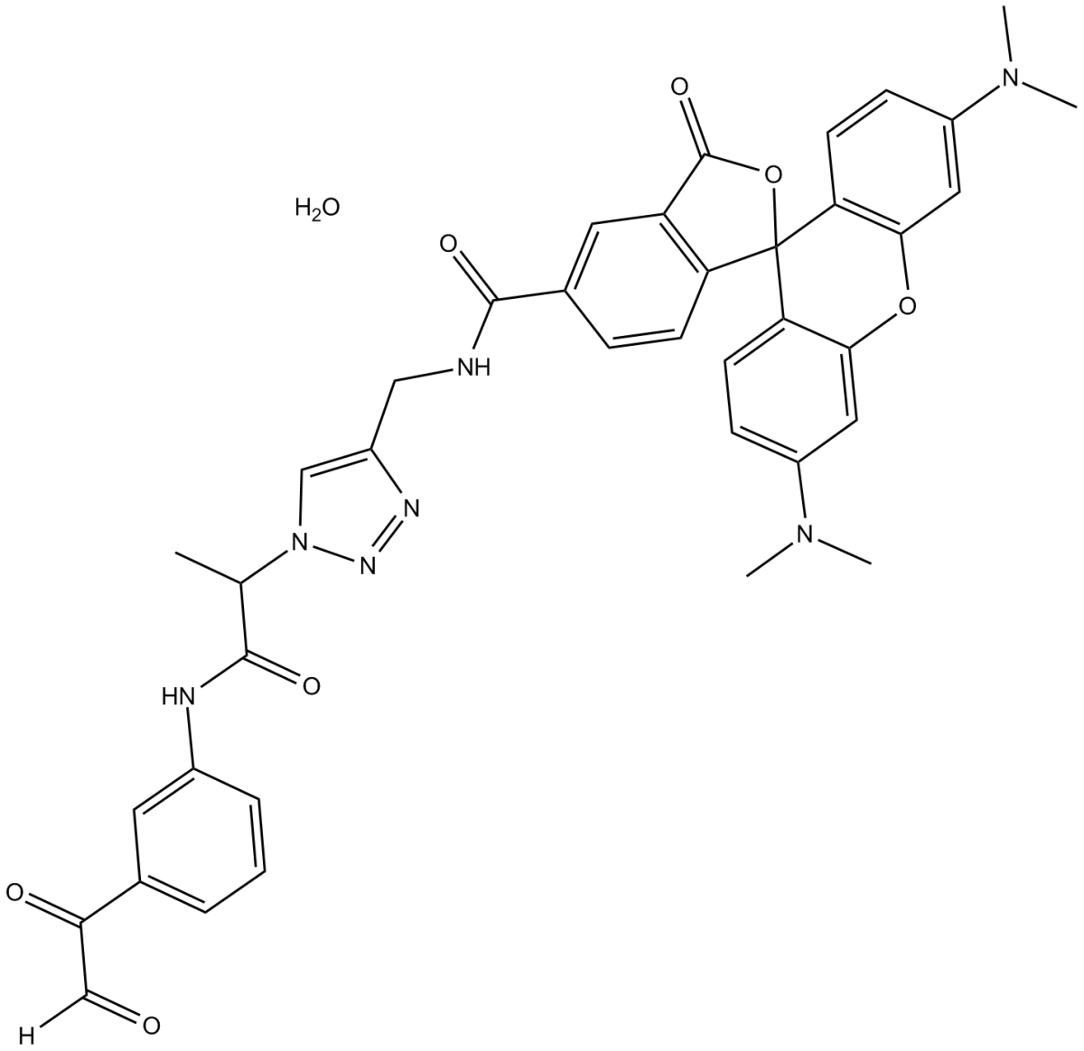 Citrulline-specific ProbeͼƬ