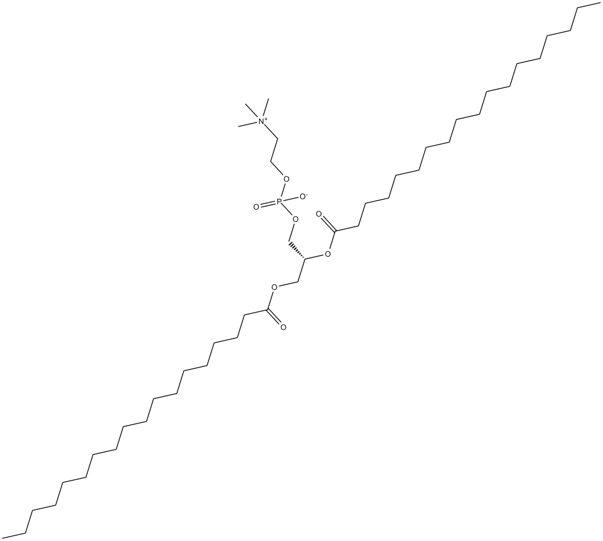 1,2-Distearoyl-sn-glycero-3-PCͼƬ