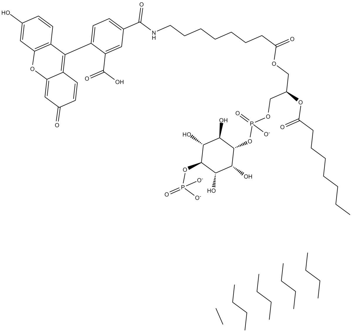 PtdIns(4)-P1-fluorescein(ammonium salt)ͼƬ