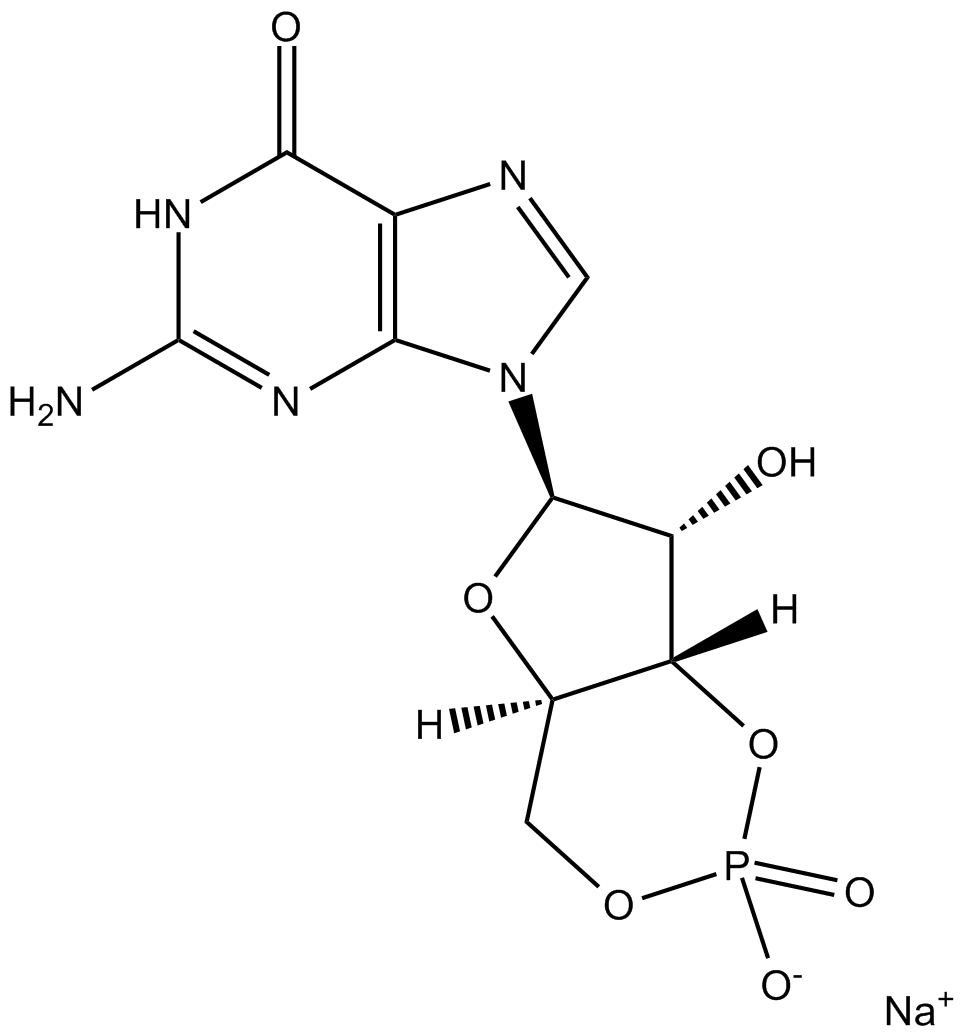 Cyclic GMPͼƬ