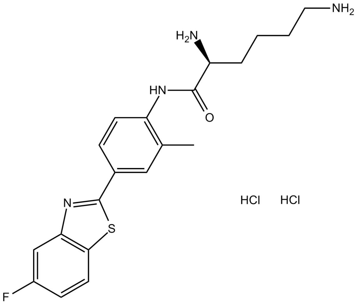 PhortressͼƬ