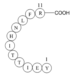 heparin cofactor II precursor fragment [Homo sapiens]ͼƬ