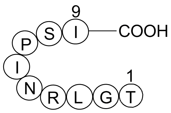 hemagglutinin(332-340)[Influenza A virus]ͼƬ