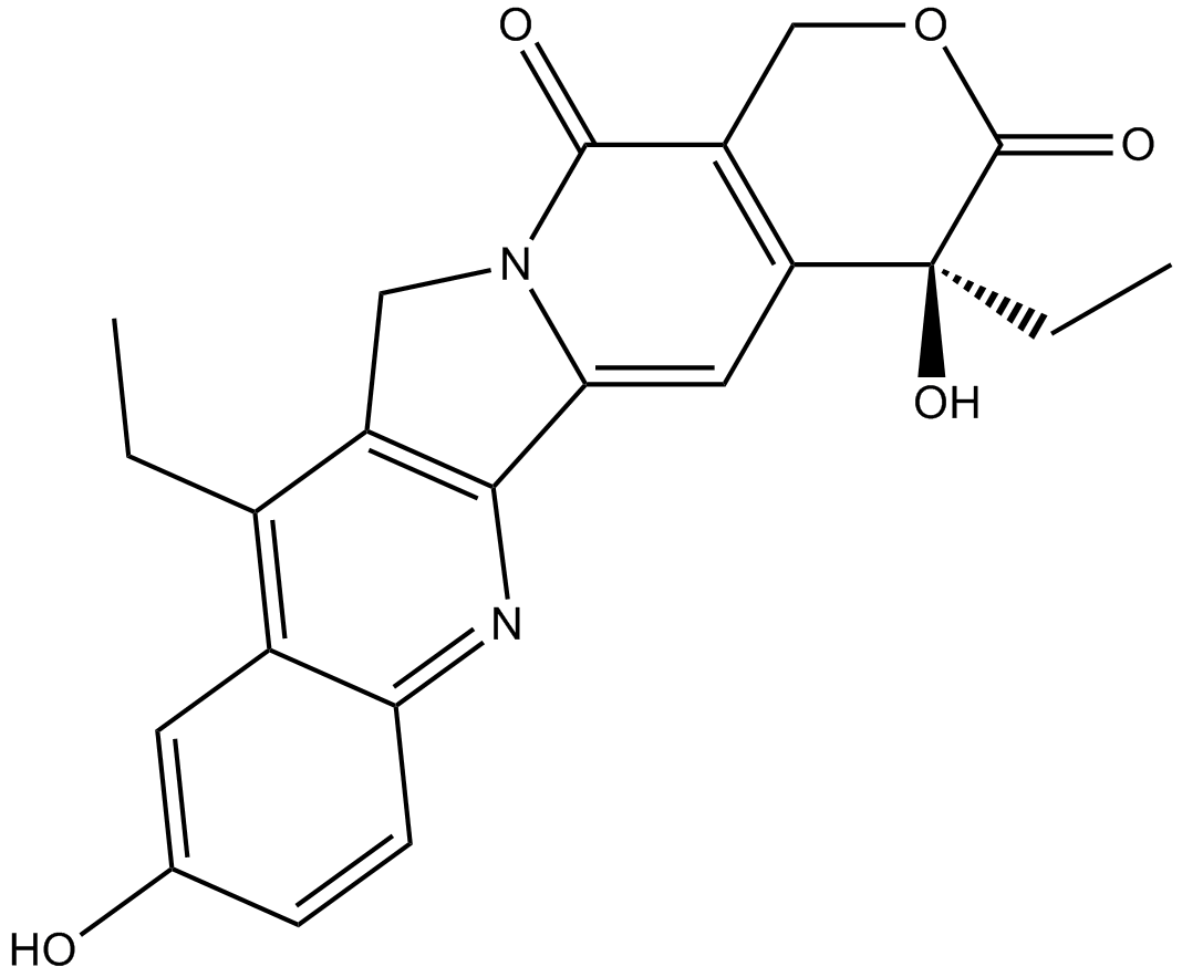 7-Ethyl-10-hydroxycamptothecin图片