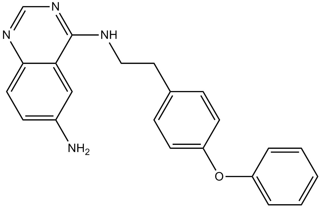 QNZ(EVP4593)图片