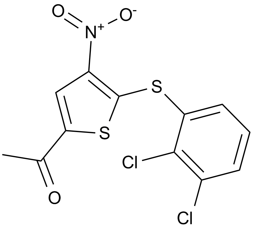 P005091ͼƬ