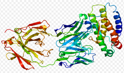 TPO,human recombinant proteinͼƬ