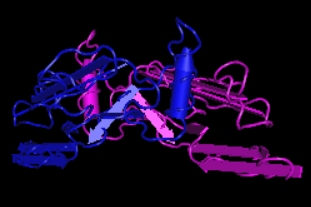 TGF-beta1,human recombinant protein(CHO cells)ͼƬ