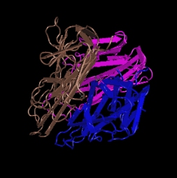 TNF-alpha,recombinant murine proteinͼƬ