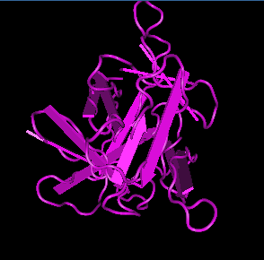 IL-1 beta,rat recombinantͼƬ