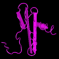 (CXCL12),human recombinant proteinͼƬ