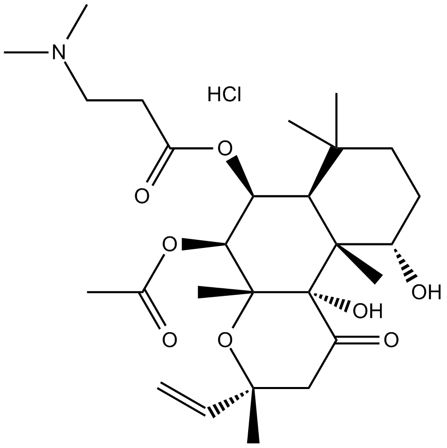 NKH 477ͼƬ