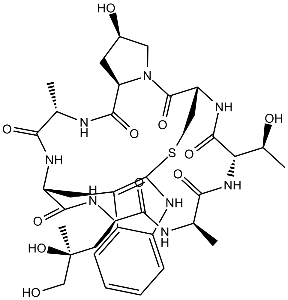 PhalloidinͼƬ