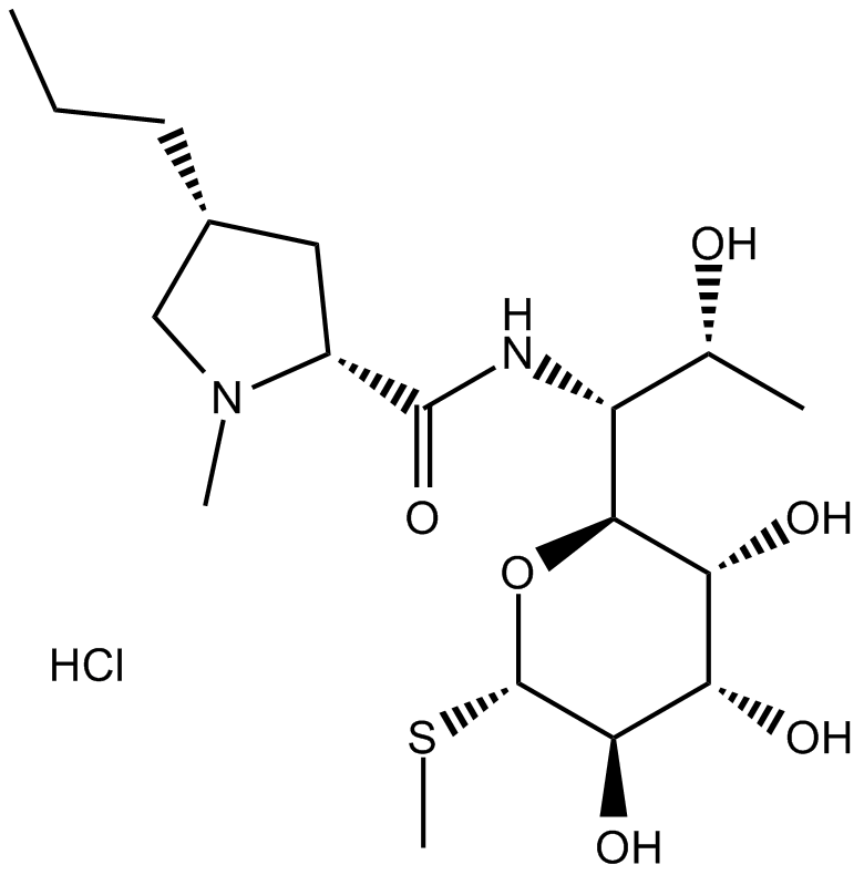 Lincomycin HCl图片