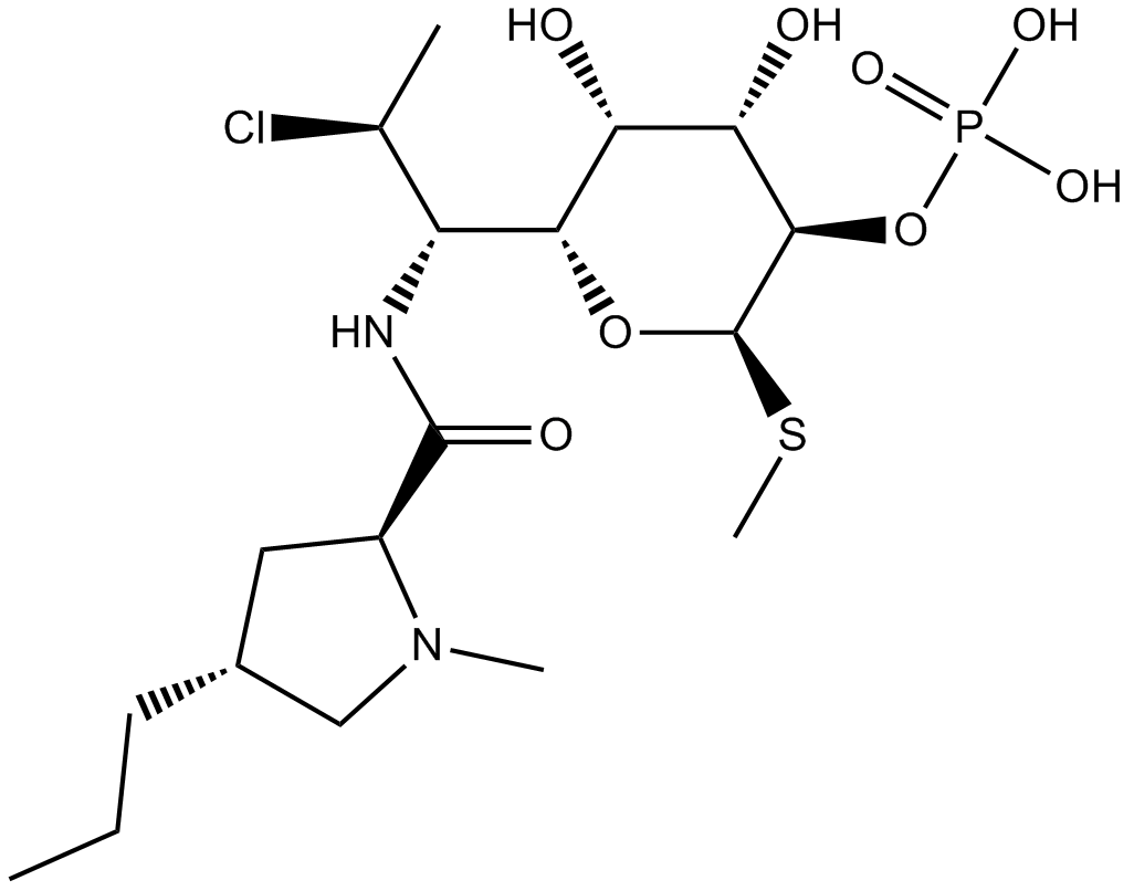 Clindamycin Phosphate图片