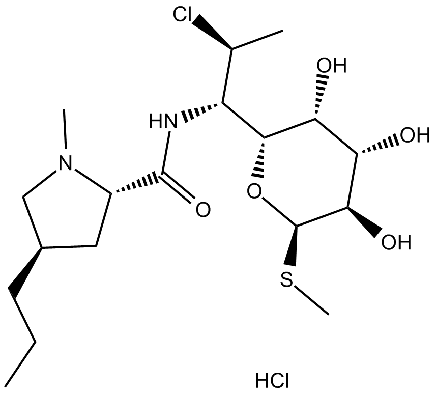 Clindamycin HClͼƬ